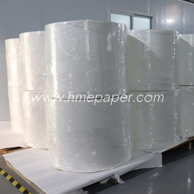 Special Plant Breathing Filter Paper Corrugated 100% Cotton
